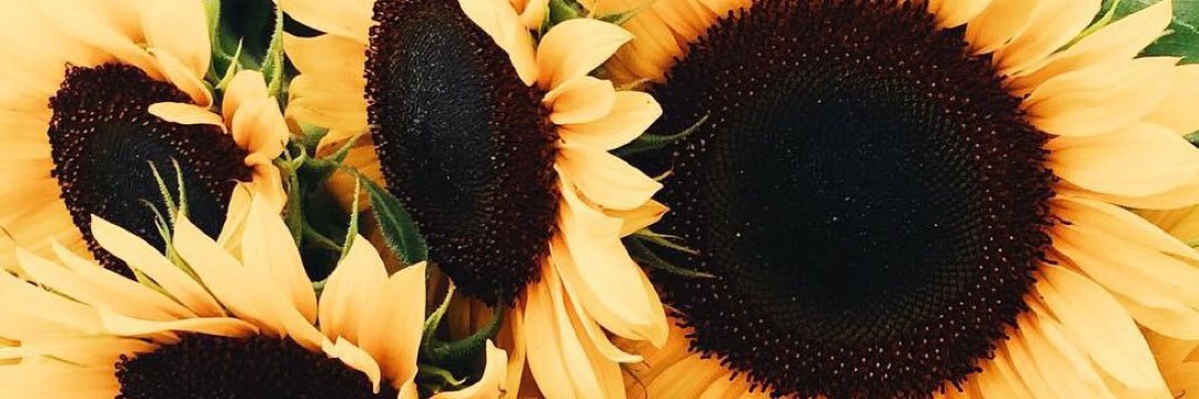 alexasoleyyy's profile banner image