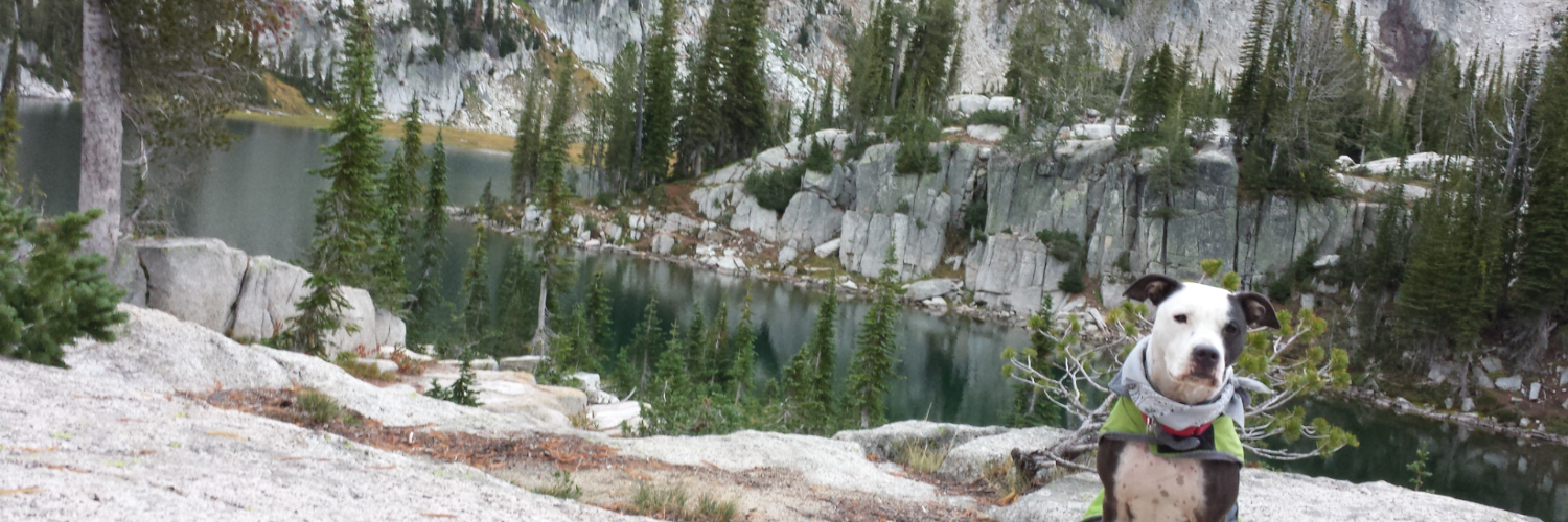 Terra_Neilson's profile banner image