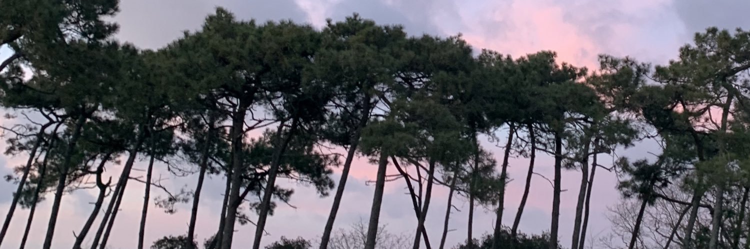 emmslf's profile banner image