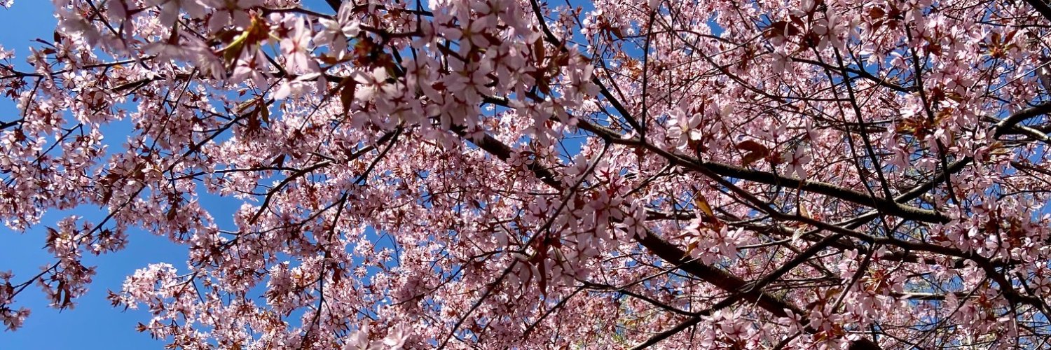 TuuliaS's profile banner image
