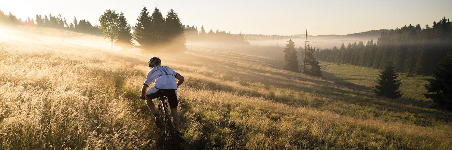 CannondaleChile's profile banner image
