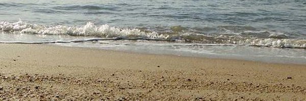 acolalang Profile Banner