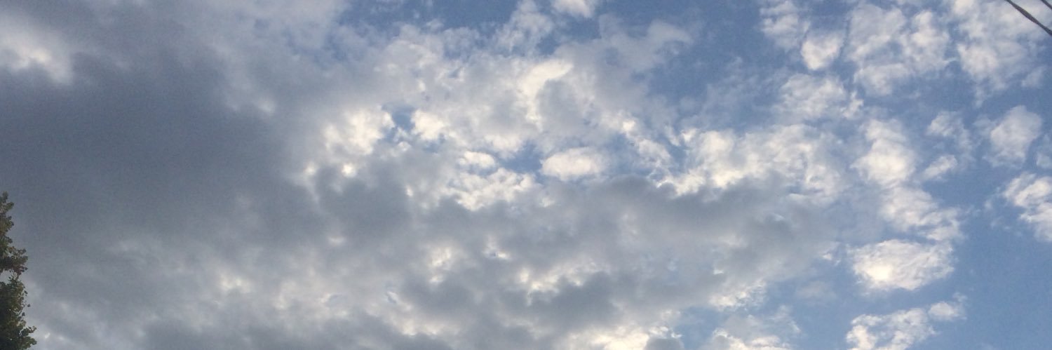 Mishoo_ED's profile banner image