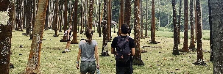 _Gaoulg's profile banner image