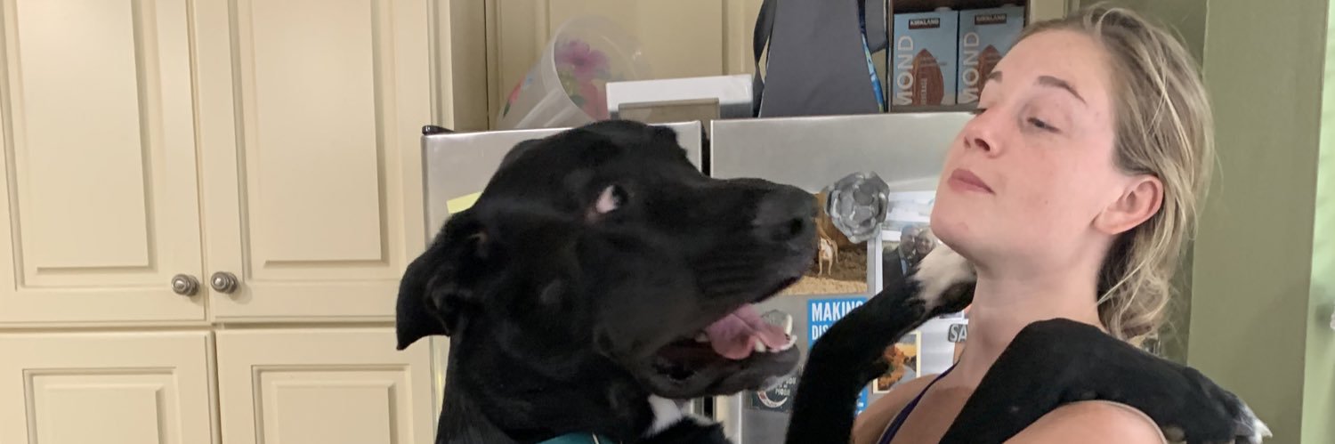 hannuhholmes's profile banner image