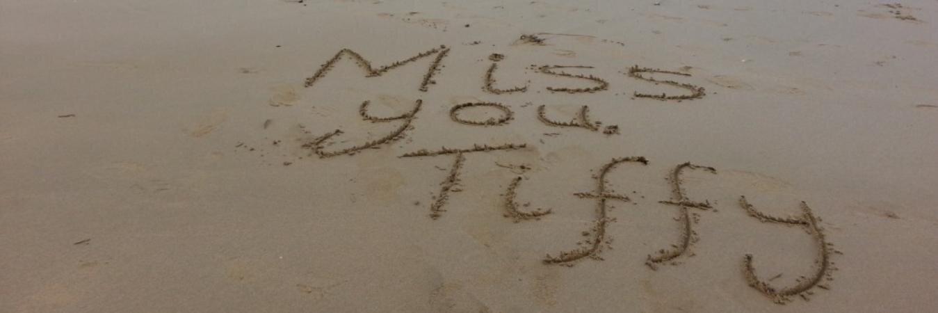 Tiffane banner