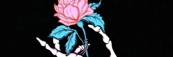 Rosariophellipe's profile banner image