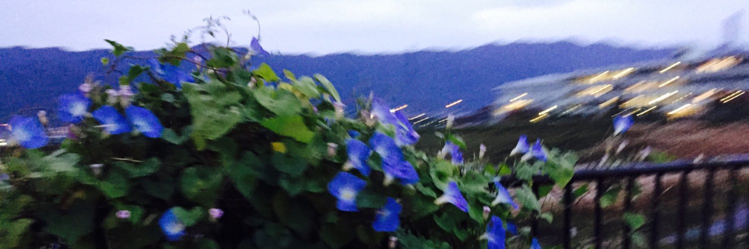dir__saki's profile banner image
