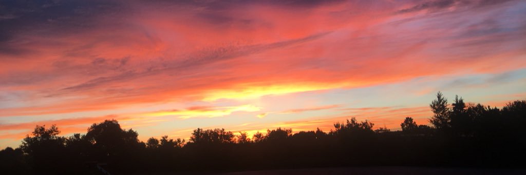 Patience Pyan banner