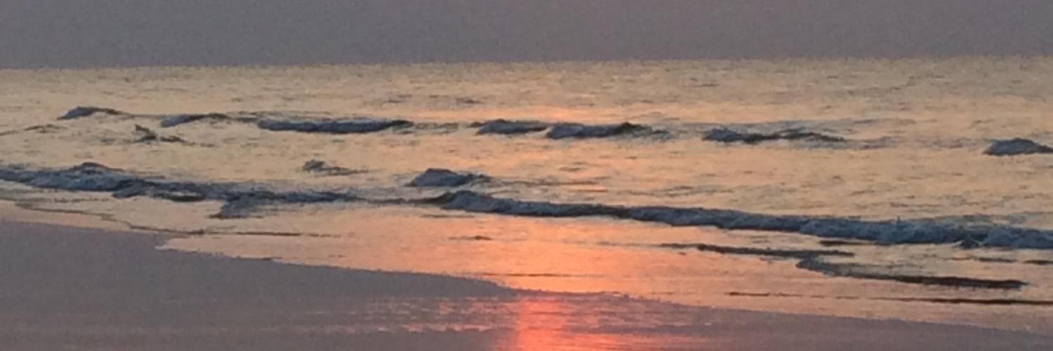 StaccccyRiley's profile banner image