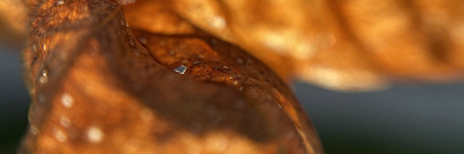 MightyElf17's profile banner image