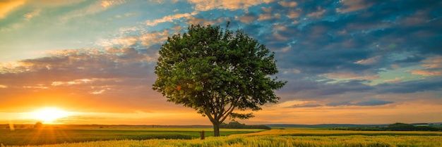 Ajit__Sahoo's profile banner image
