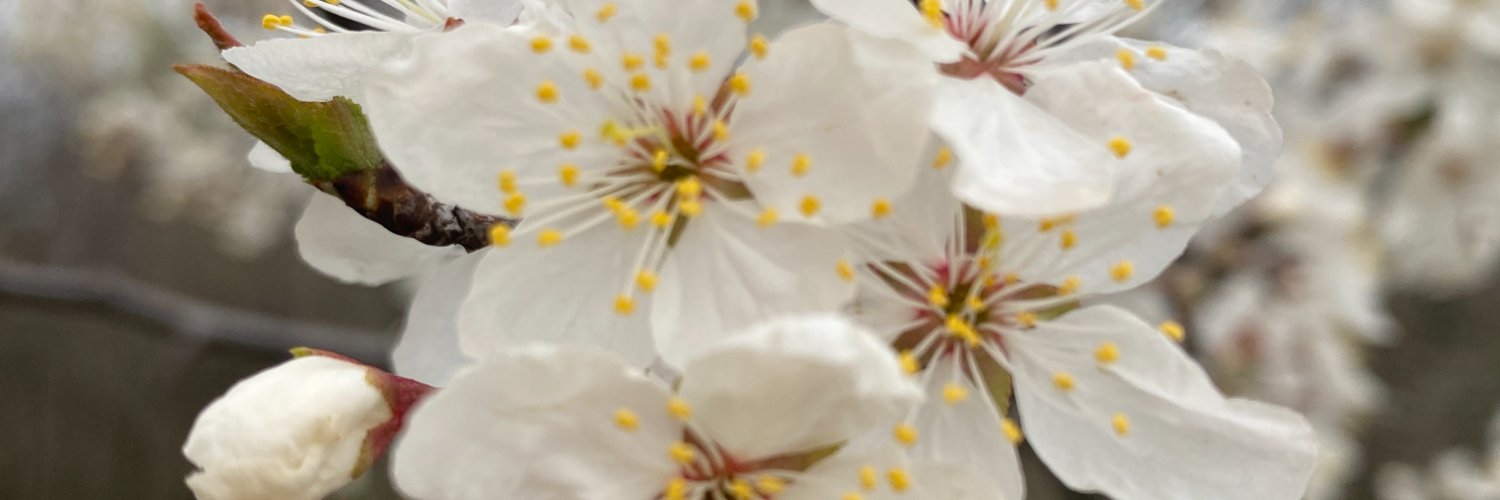 takecaptive's profile banner image
