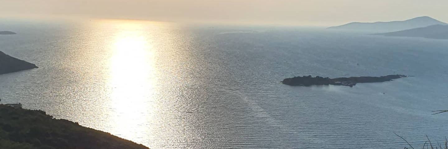 estiigene's profile banner image