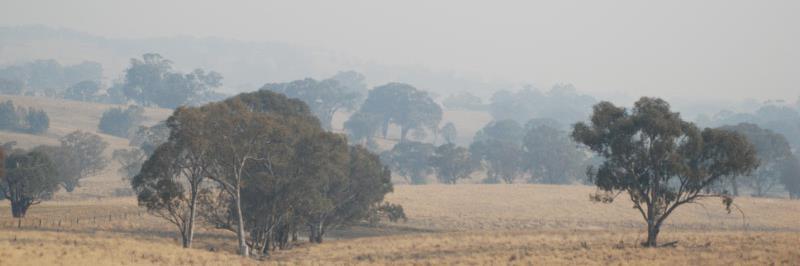 Stephen Porges banner