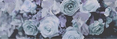 Risatui_8's profile banner image