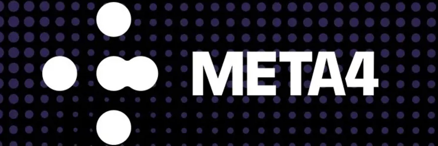 Meta4 Interactive banner