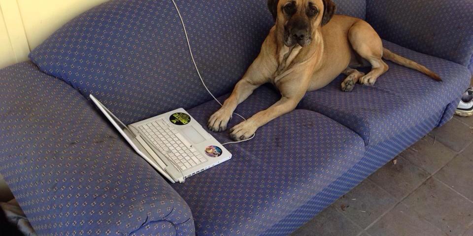 @AbusersRLosers banner