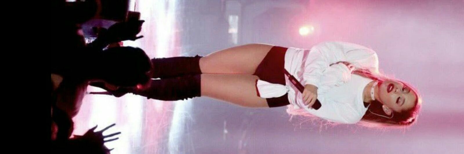 Ana S. Castro banner