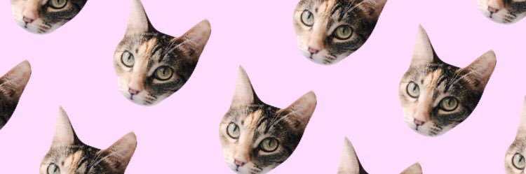 SofiaPuell's profile banner image