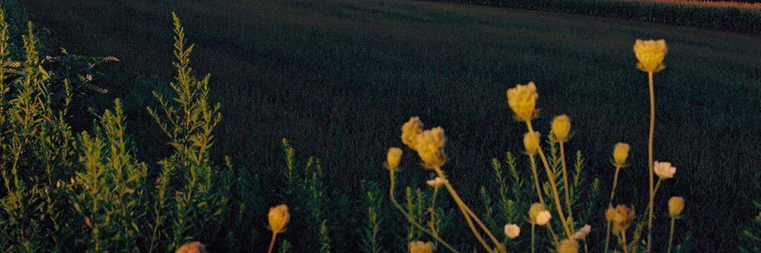 bizzle0204's profile banner image