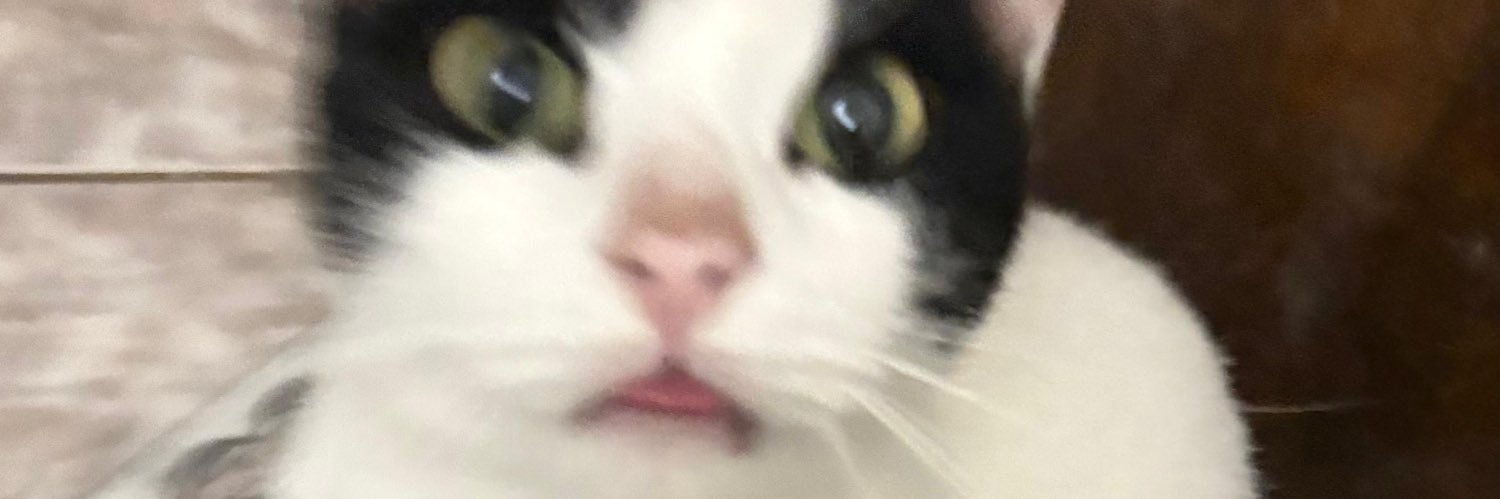 live_danilo's profile banner image