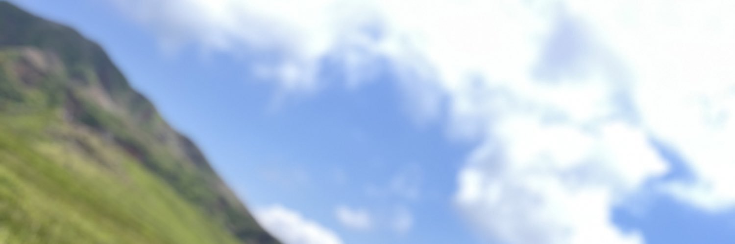 msy88F_47's profile banner image