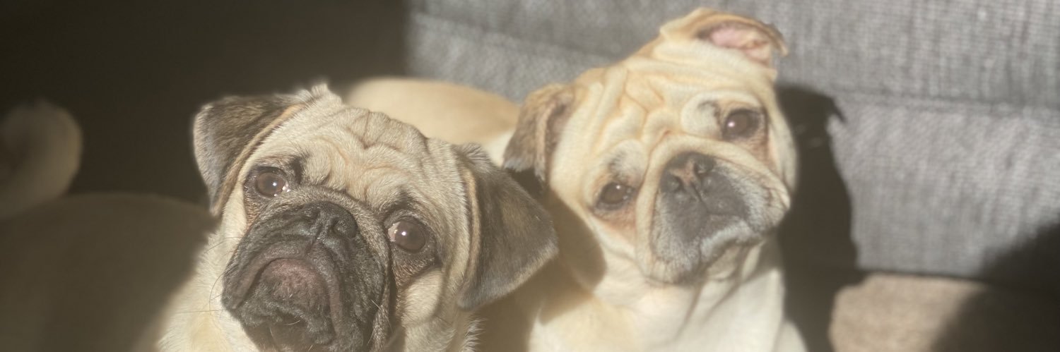 danielle_jadexo's profile banner image