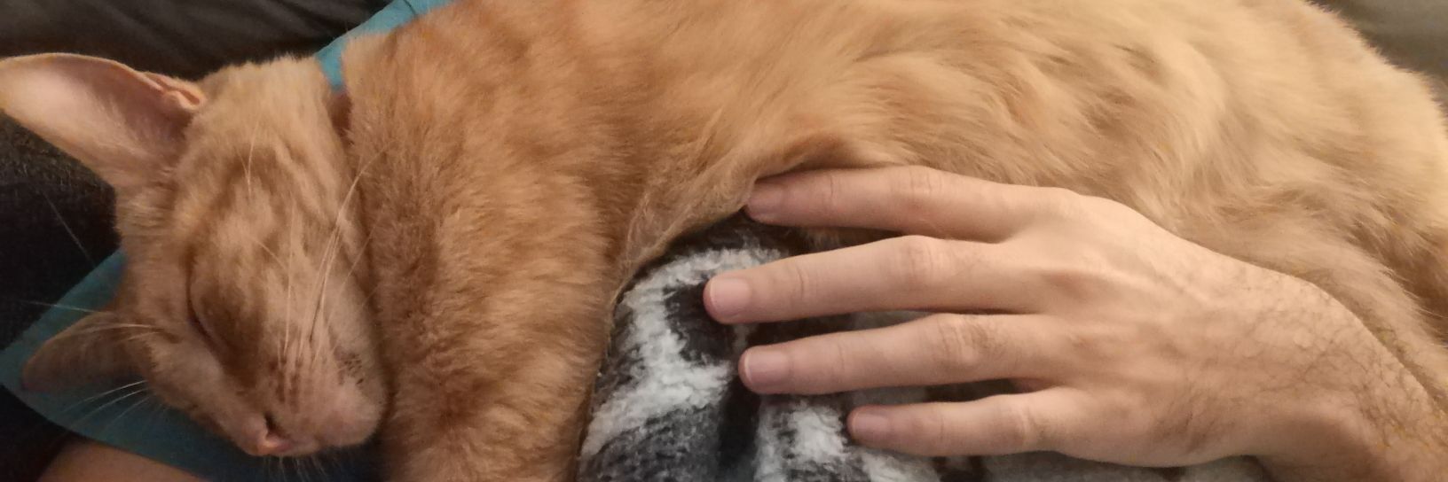 DeenAriefdien's profile banner image