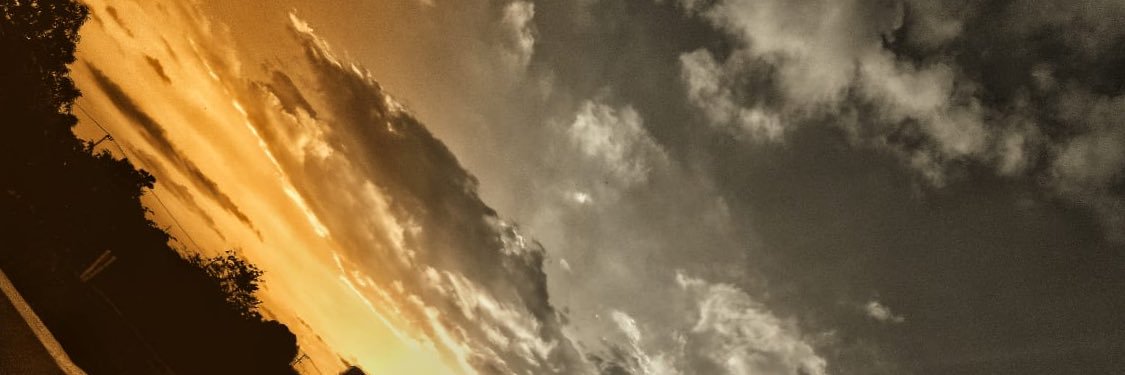 _lccho's profile banner image