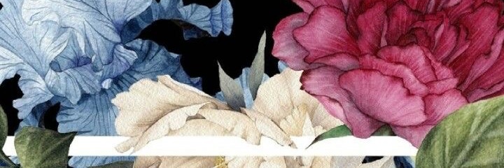 ZezeLucille's profile banner image