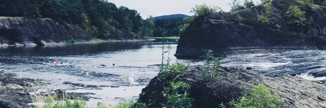 Rachel Silberstein banner