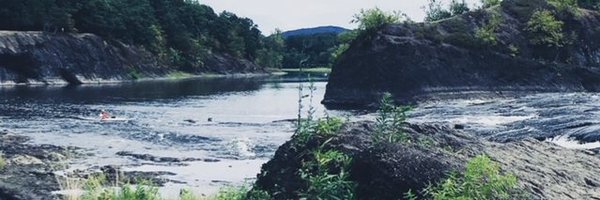 RachelSilby Profile Banner