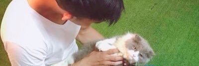PrincesssDream2's profile banner image