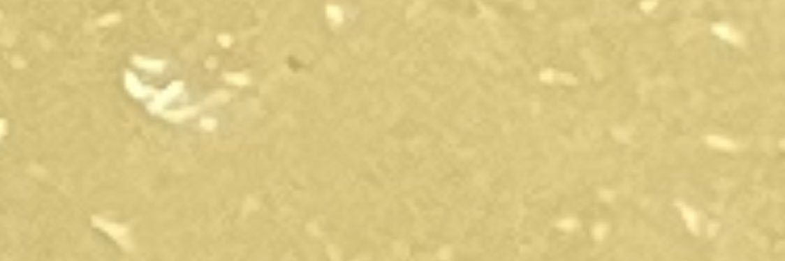 𝒕𝒆𝒕𝒔𝒖𝒐𝒋𝒊_ banner
