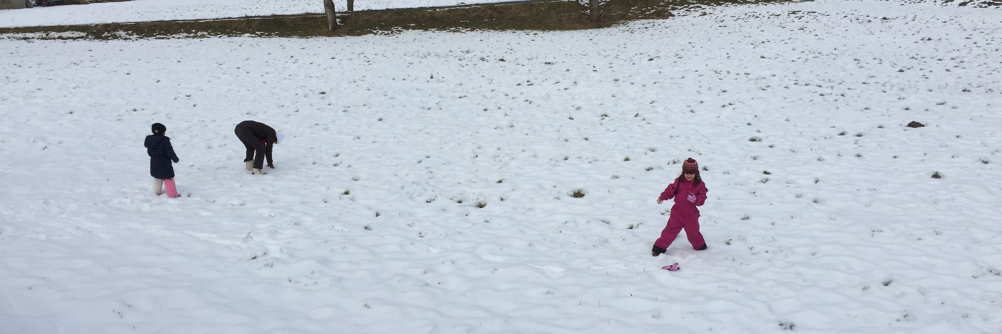 Dimitri Galitzine banner