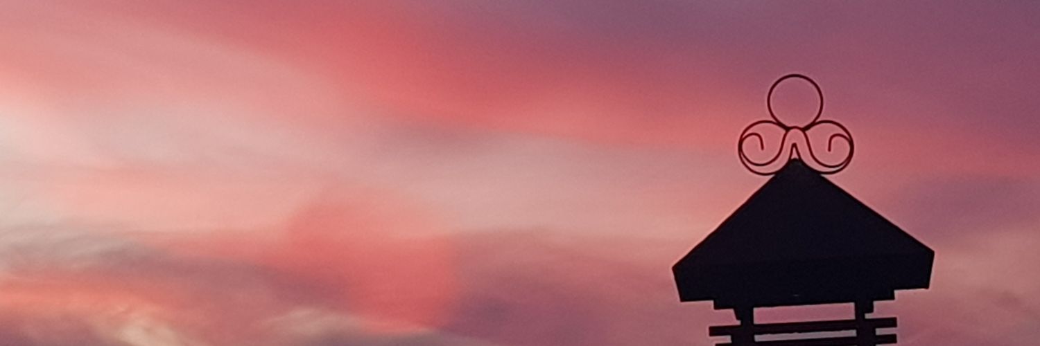 danisariyski's profile banner image
