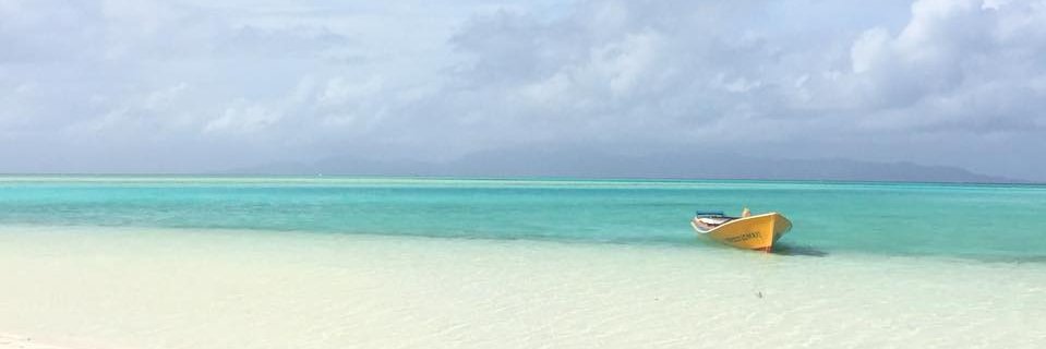 graceelicious's profile banner image