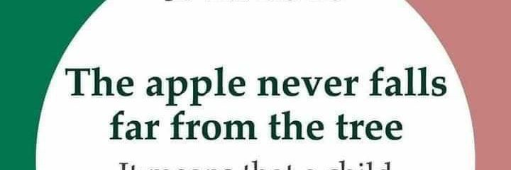 purple collections banner