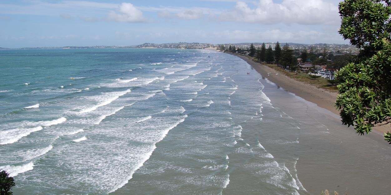 Mark Mitchell banner