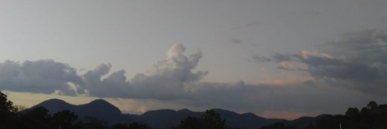 FcoGracida's profile banner image