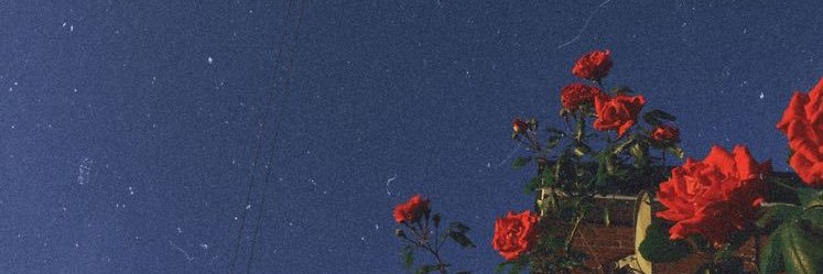 Andrenify's profile banner image