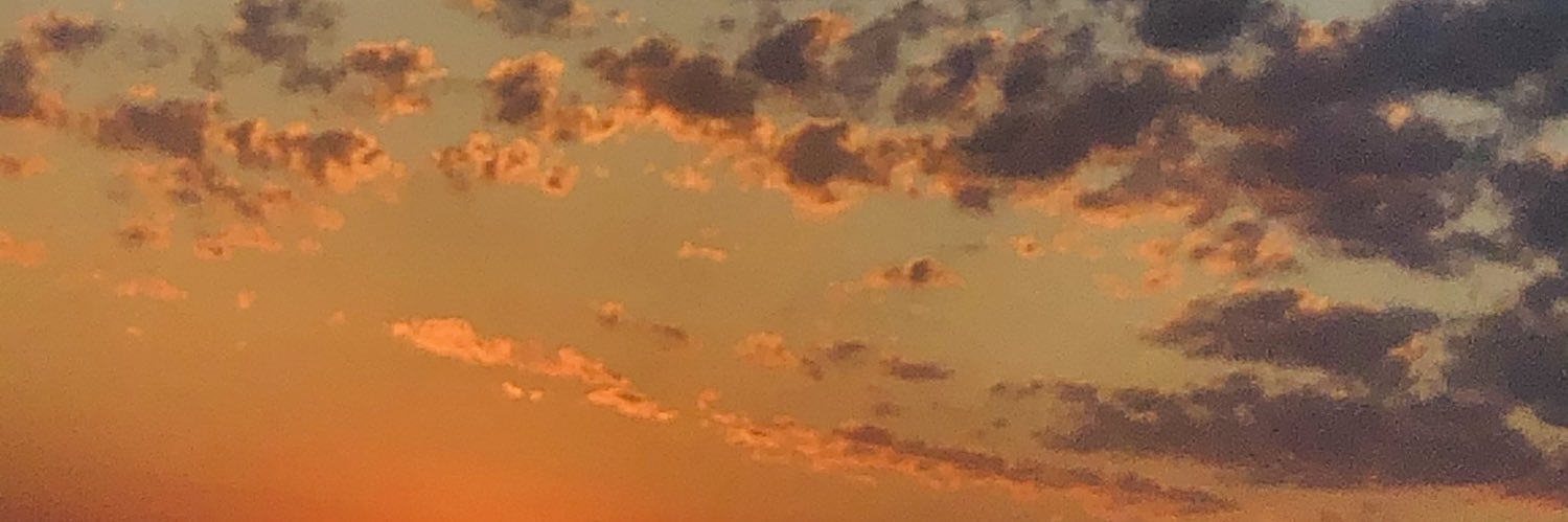 renantuiteiro's profile banner image