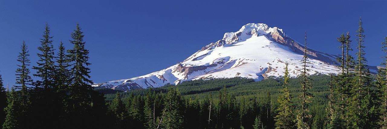 wellardmw's profile banner image