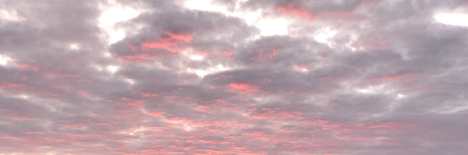 Laura 🐘 banner