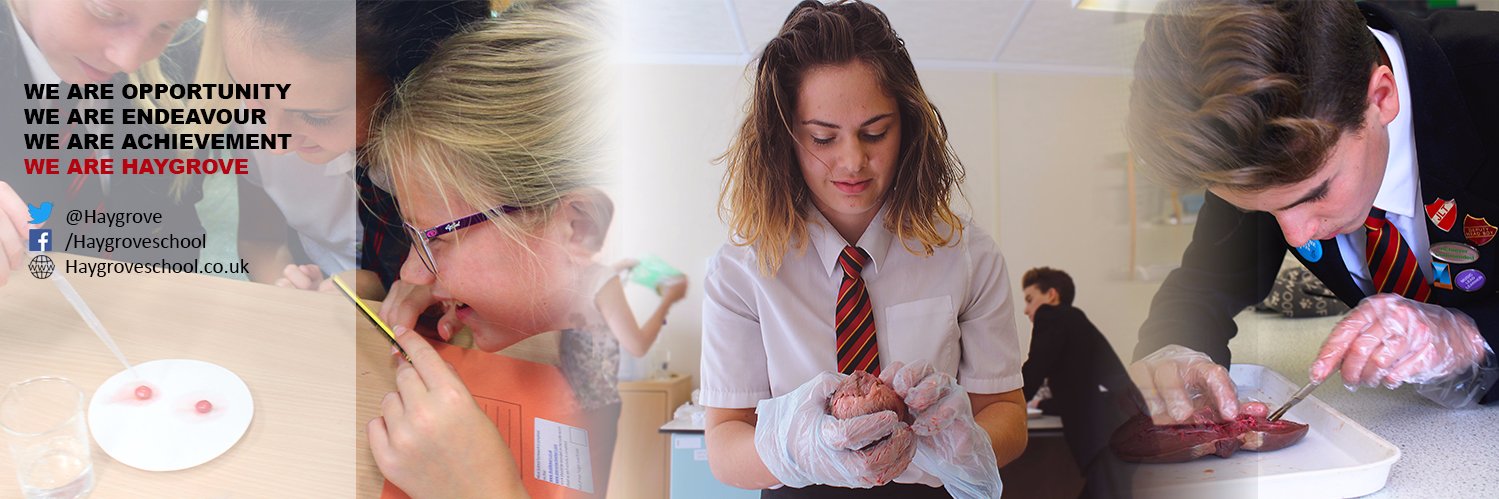 Haygrove Science banner