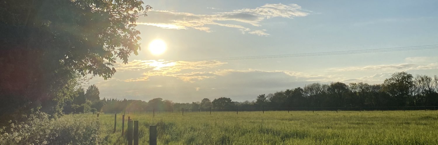 D1Georgia's profile banner image