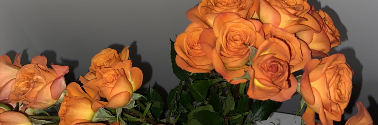 tweetrish28's profile banner image
