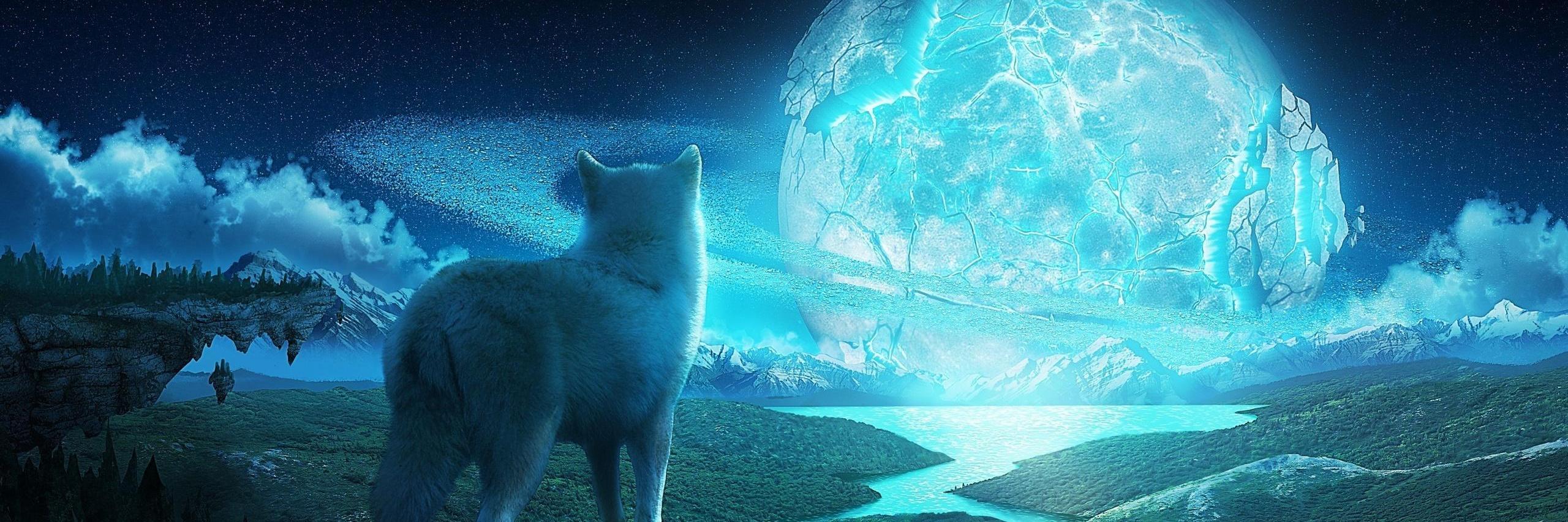 RostikZal's profile banner image