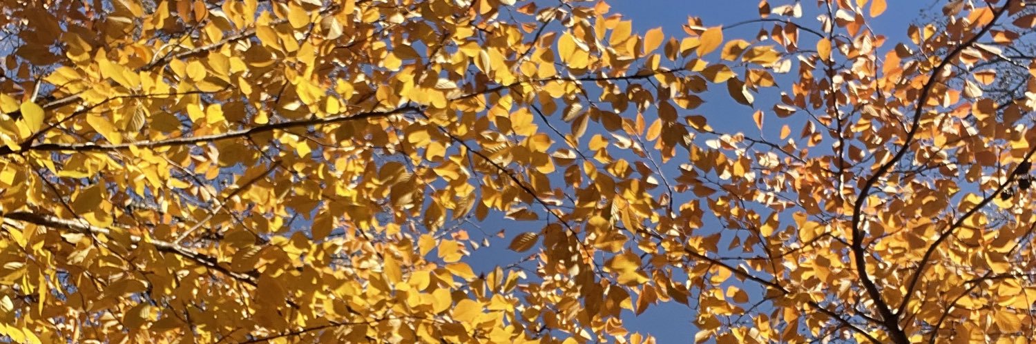 JustStatonFacts's profile banner image